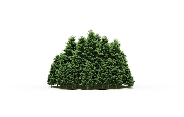 group of trees isolated on a white background big trees in the forest 3D illustration cg render