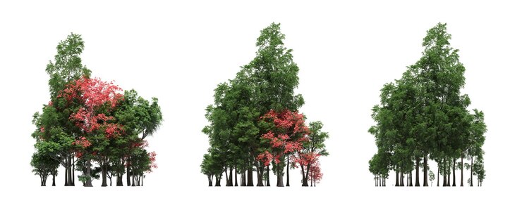 Фотография группа деревьев, изолированных на белом фоне, лесной эскиз, набросок, иллюстрация, cg render