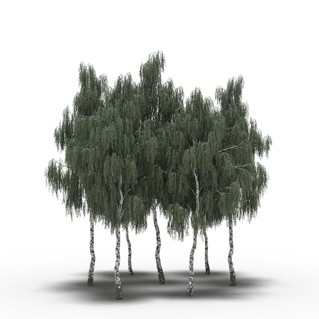 группа деревьев с тенью под ним, изолированные на белом фоне, 3D иллюстрация, cg render