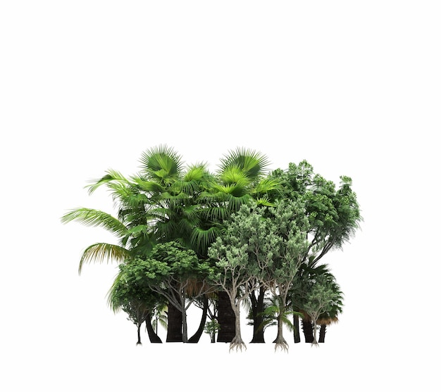 白い背景の 3 D イラストレーション cg レンダリングに分離されたその下に影のある木のグループ