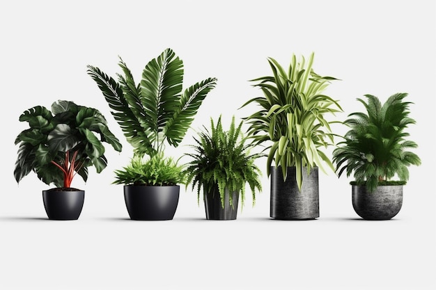 Photo group of various indoor cacti and succulent plants in pots isolated on a white background generative ai