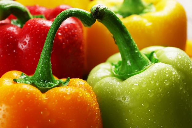 Photo group of wet colorful peppers closeup