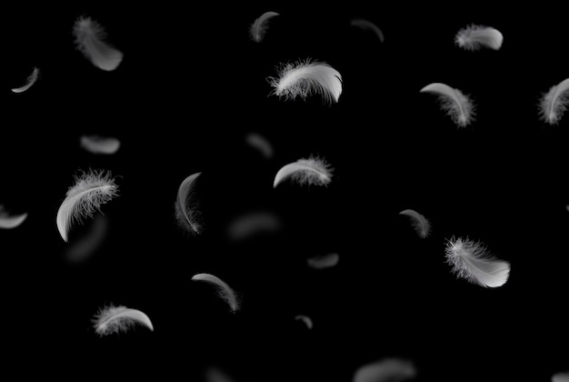 Photo group of white feathers floating in the dark