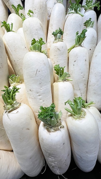 Group of white radish in supermarket.