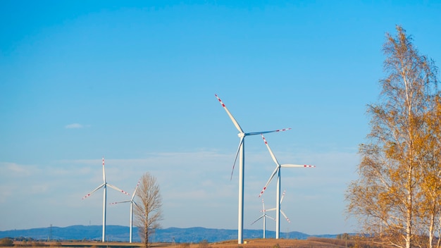 Group of wind turbines. Renewable energy. Electrical windmills.