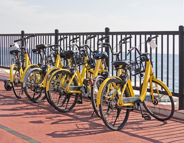 Photo group of yellow bicycles in bike rental station