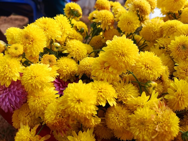 A Group Of Yellow Flowers