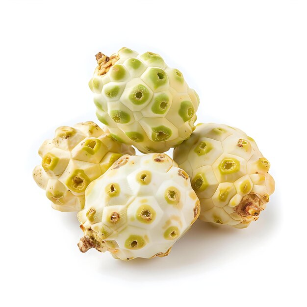 Photo a group of yellow and green cactus with a white background