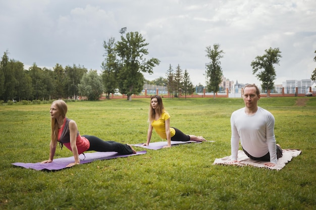 A group of yogis in a graceful pose during outdoor pursuits, summer