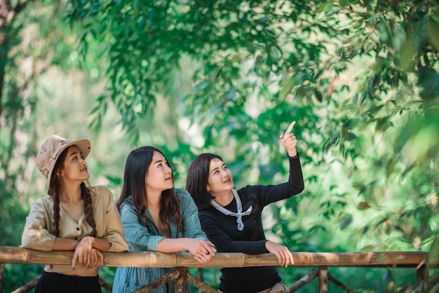 Group of young asian women standing on bamboo bridge are looking beautiful nature while camping in forest with happiness together