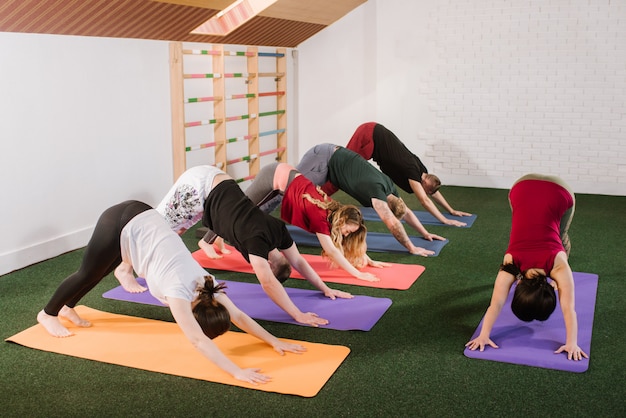 A group of a young people doing joga exercises indoors at the gym