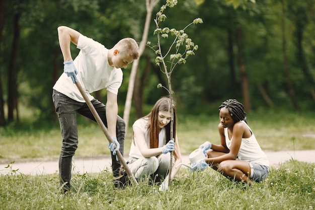 Photo group of young volunteers in park. they are planting a tree seedling.