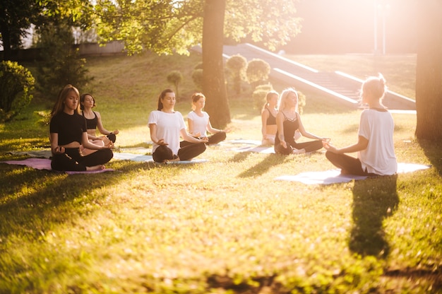 Group of young women practice yoga in park on summer sunny morning under guidance of instructor. Group of calm people is sitting in lotus pose on grass with closed eyes