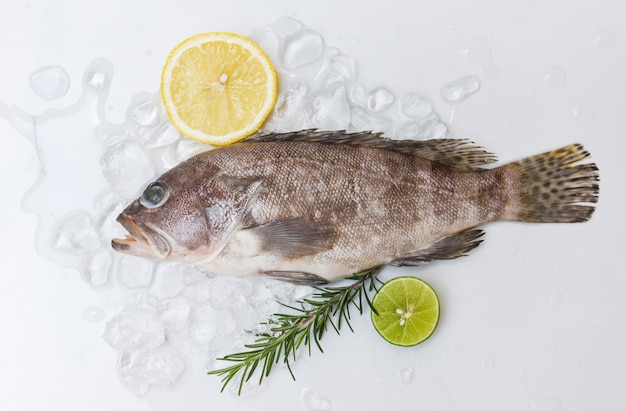 Grouper fish on ice, Fresh raw seafood fish for cooked food