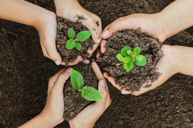 Growing concept eco Group hand children planting together