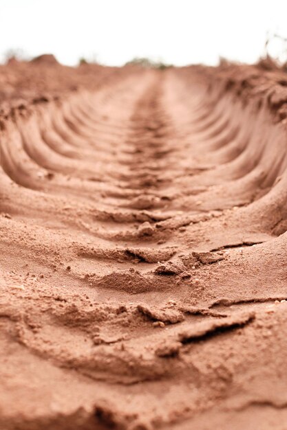 Growing an economy from the ground up Shot of a sandy furrow on a farm