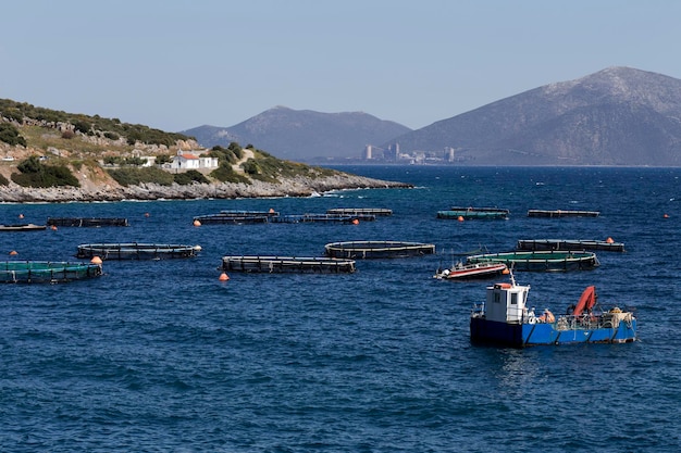 Выращивание рыбы в открытом море с видом на пруды с рыбой