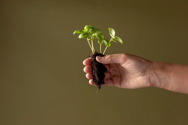 Photo growing life concept with flowers