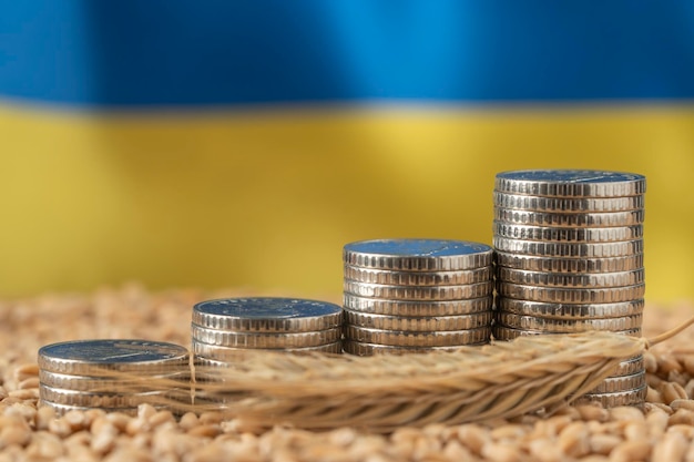 ウクライナの国旗と穀物の背景にコインの積み重ねの形で成長するお金 世界中の穀物備蓄の小麦価格 食品危機 輸出物流ソリューション