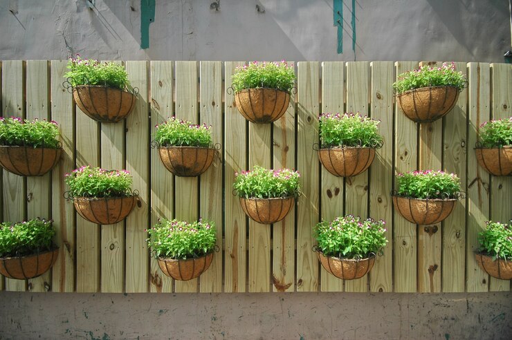 木の壁に植物を育てる