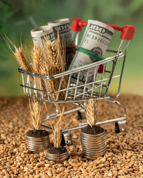 Growing in a shopping cart with ripe wheat spikelets Concept business and agriculture success finance Agriculture plant seeding growing step concept in the garden