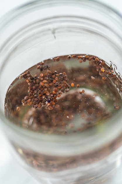 Growing sprouts in a jar