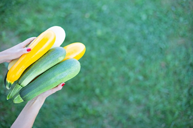 Growing vegetables on your own land Farm vegetables