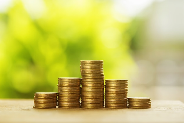 growth of golden coins in soil with green leaf background