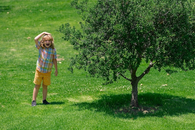 Growth kids concept child grow up near little tree at the summer park