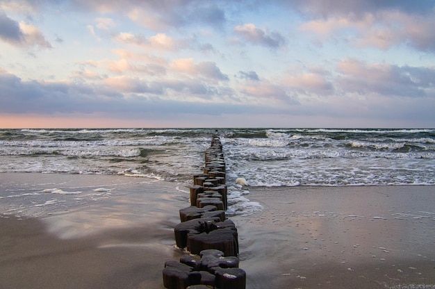 Zingst Waves의 발트해 해변에 있는 Groynes는 나무에 부서집니다.