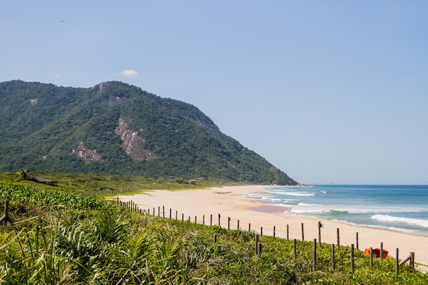 リオデジャネイロブラジルの西側にあるグルマリビーチ。