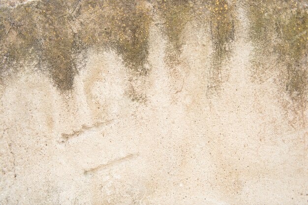 Grunge background texture