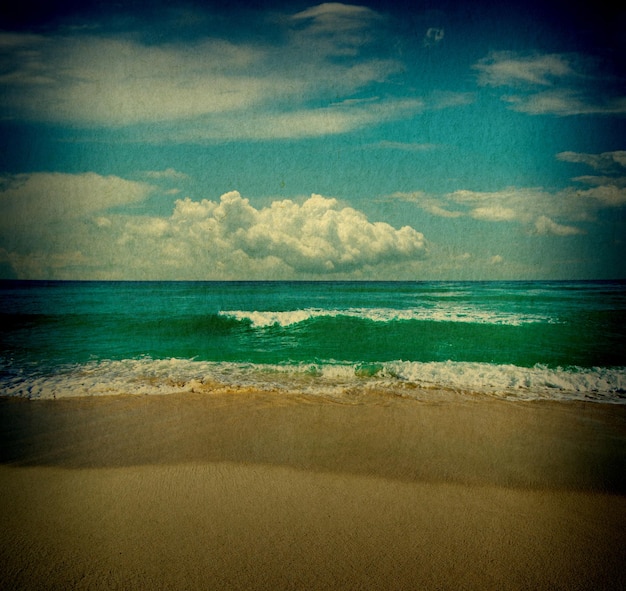 Spiaggia di lerciume