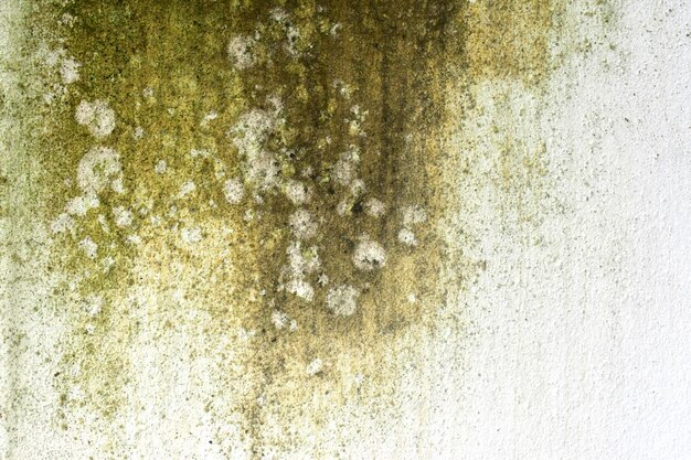 Grunge concrete cement wall cracks rusty moss texture background