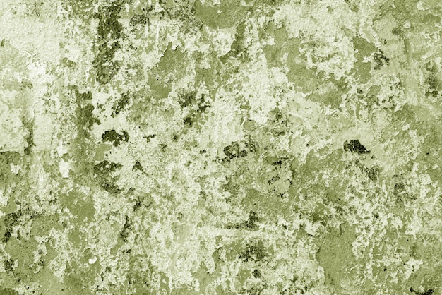 Grunge green cement wall background