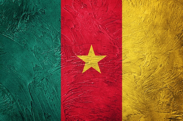 Grunge Kameroen vlag. De vlag van Kameroen met grungetextuur.