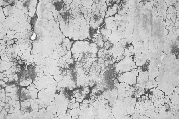 Grunge old cement wall texture