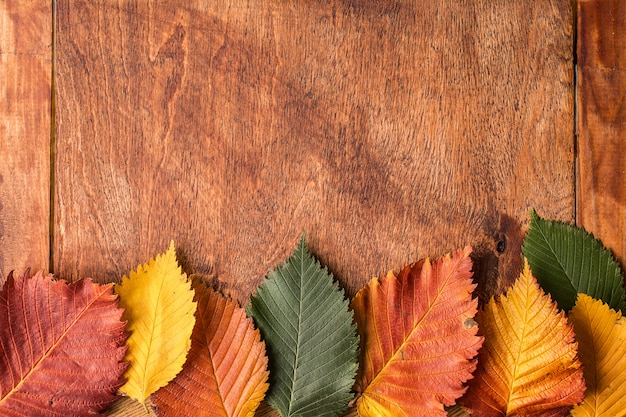 Grunge oppervlak met herfst bladeren