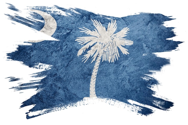 Photo grunge south carolina state flag south carolina flag brush stroke