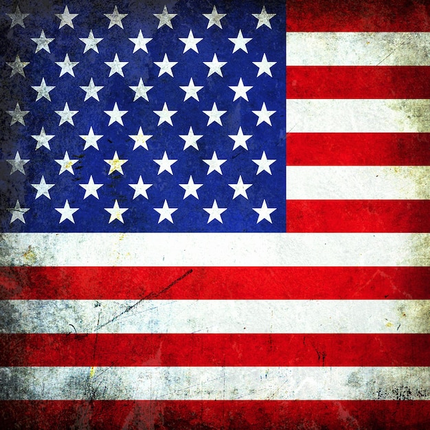 Usa vettore di bandiera grunge design