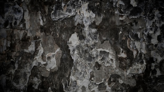 Grunge wall texture background creepy dark old wall