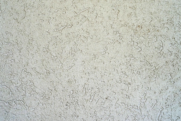 Photo grunge wall texture