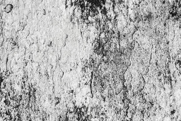 Grunge wall texture