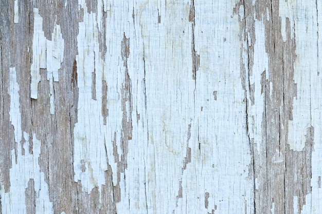 Grunge white wood, can be used for background.