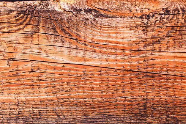 Grunge wooden texture used as background