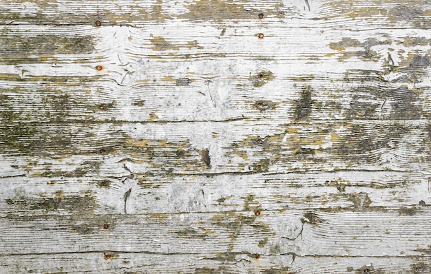 Grungy painted wood texture as background