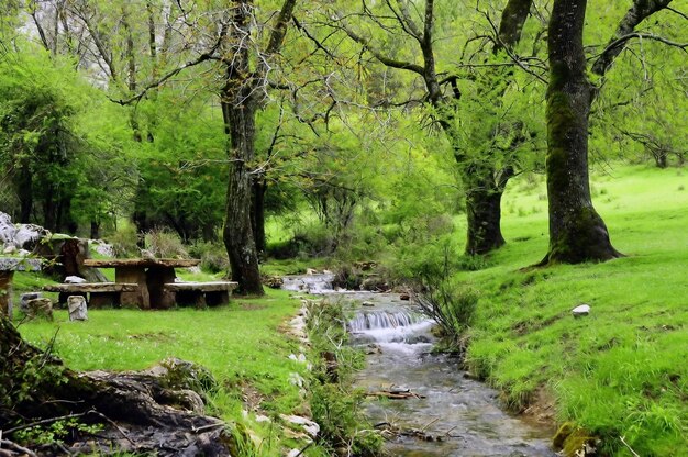 Guadalquivir rivier door het Cazorla National Park Jaen