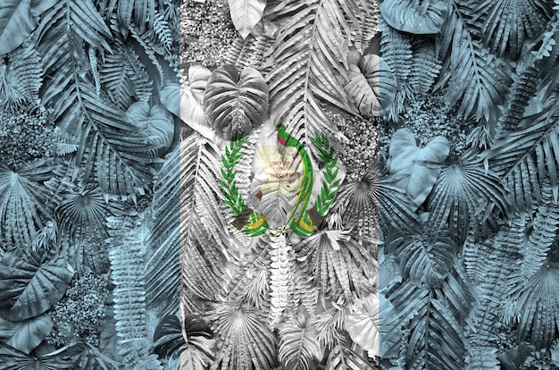 Photo guatemala flag depicted on many leafs of monstera palm trees. trendy fabric