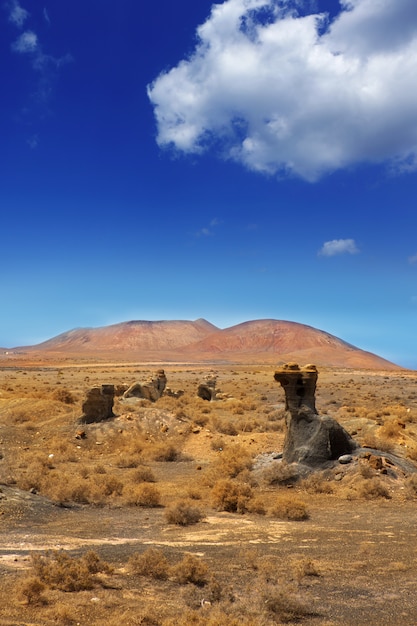 Guatiza teguis stenen vulkanisch Lanzarote