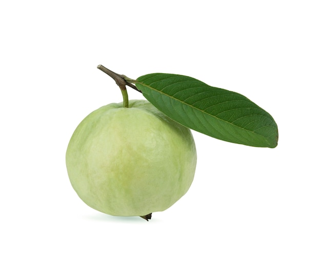 흰색 배경에 고립 된 구아바 과일